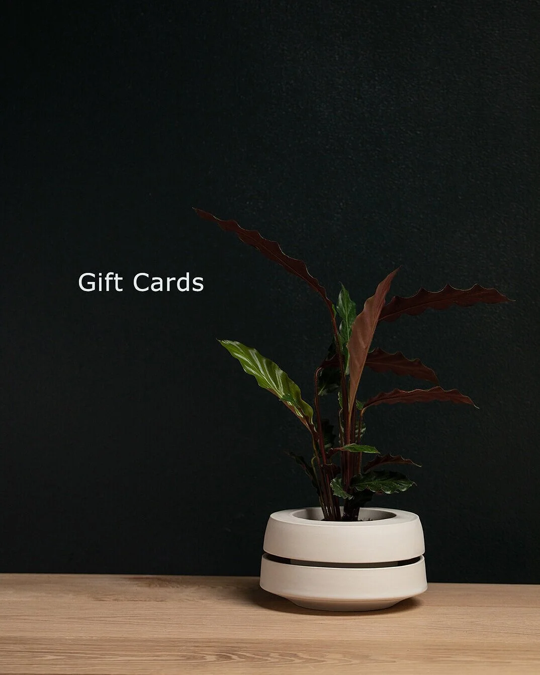giftcards.jpg