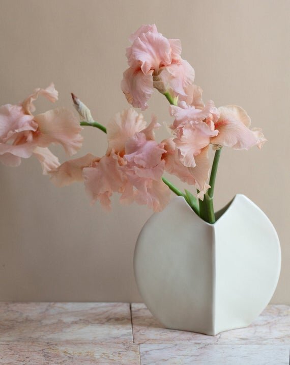 https://i.etsystatic.com/5695796/r/il/2a0ccc/3177890502/il_570xN.3177890502_q7u4.jpg