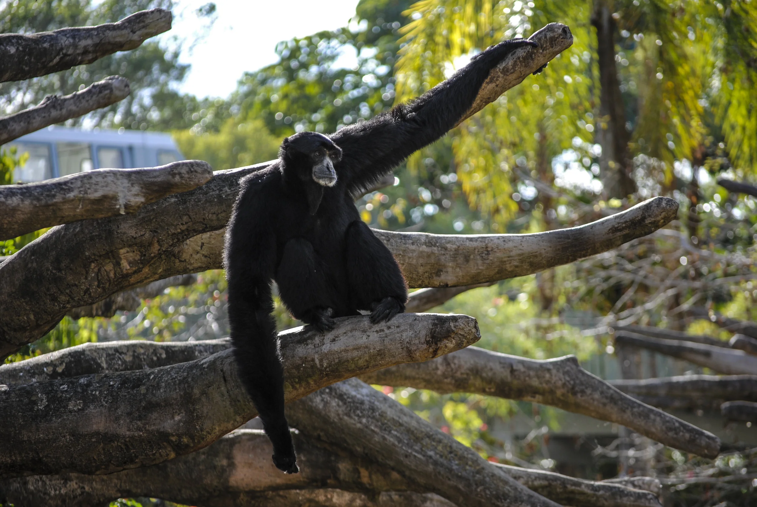 DSC_0794.jpg