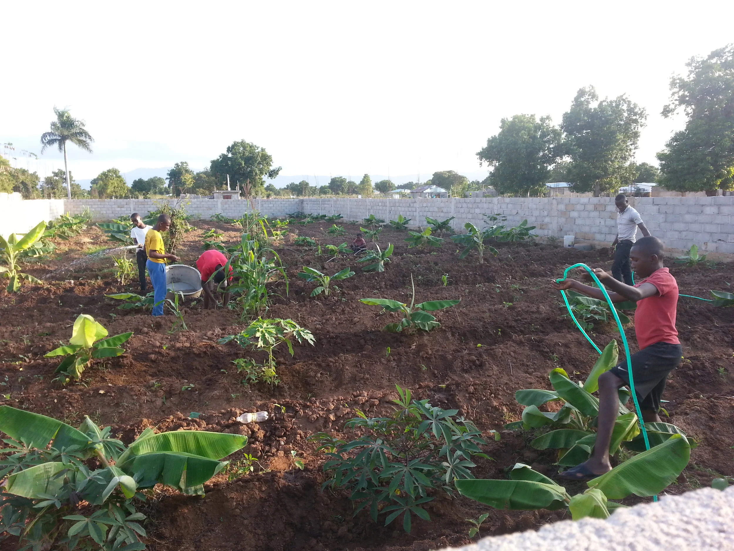 Boys helping with the watering at one of the gardens