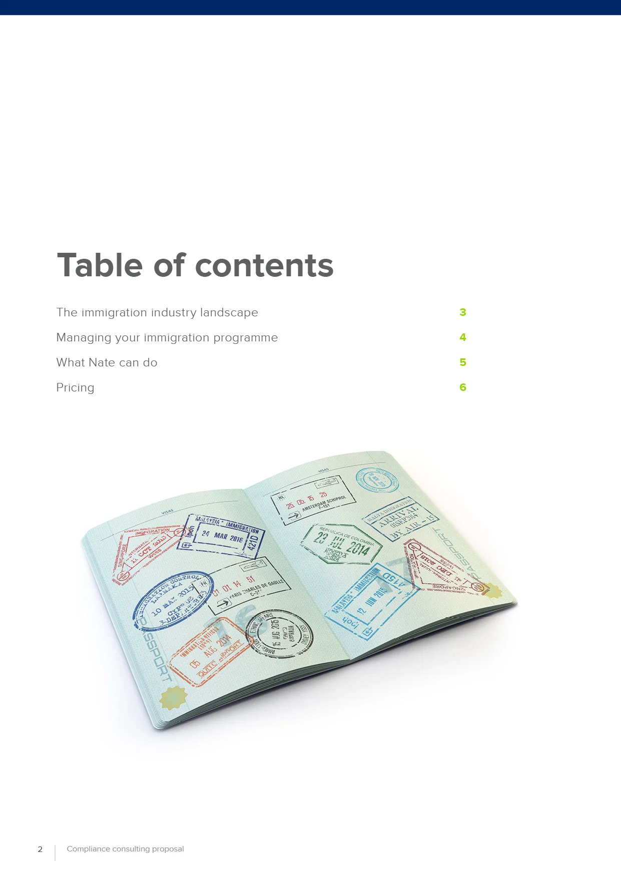 PMI compliance consulting template2.jpg