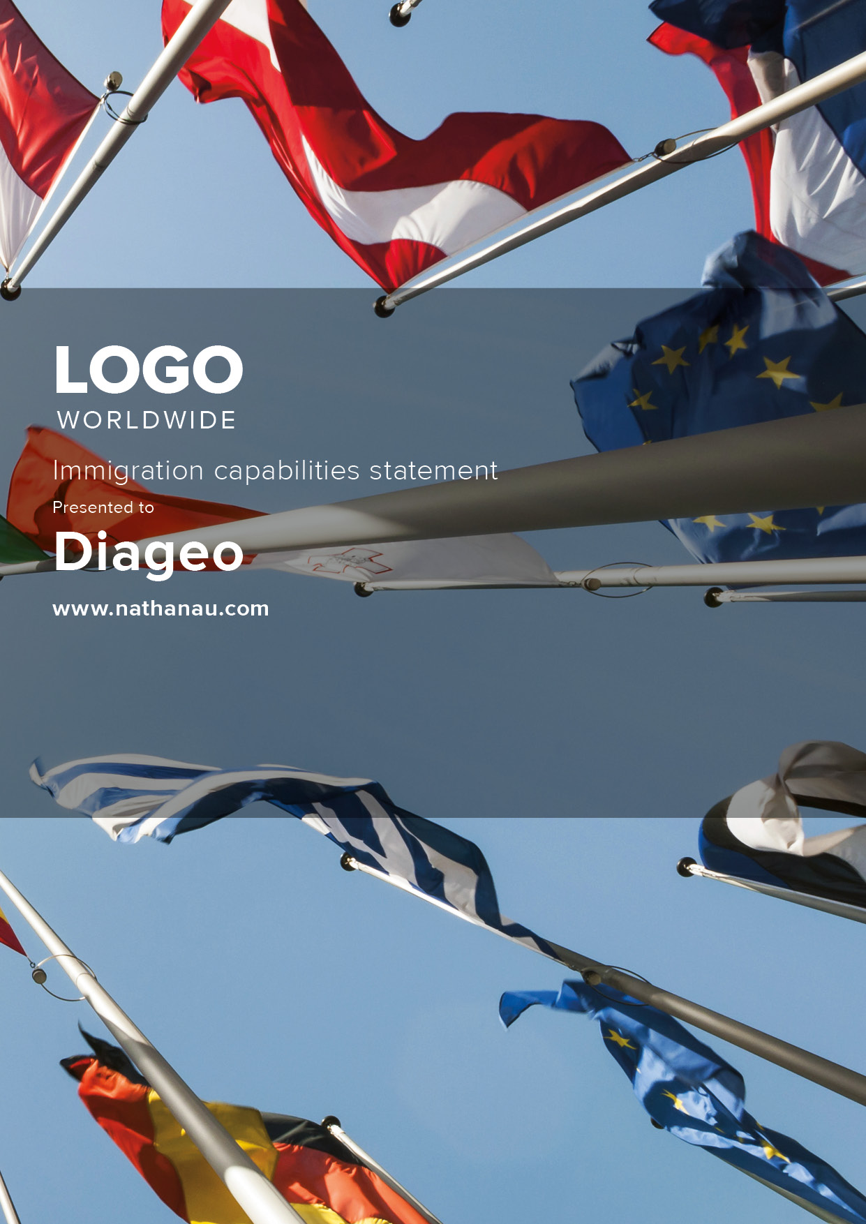 Diageo_immigration capabilities_preliminary_V2.jpg