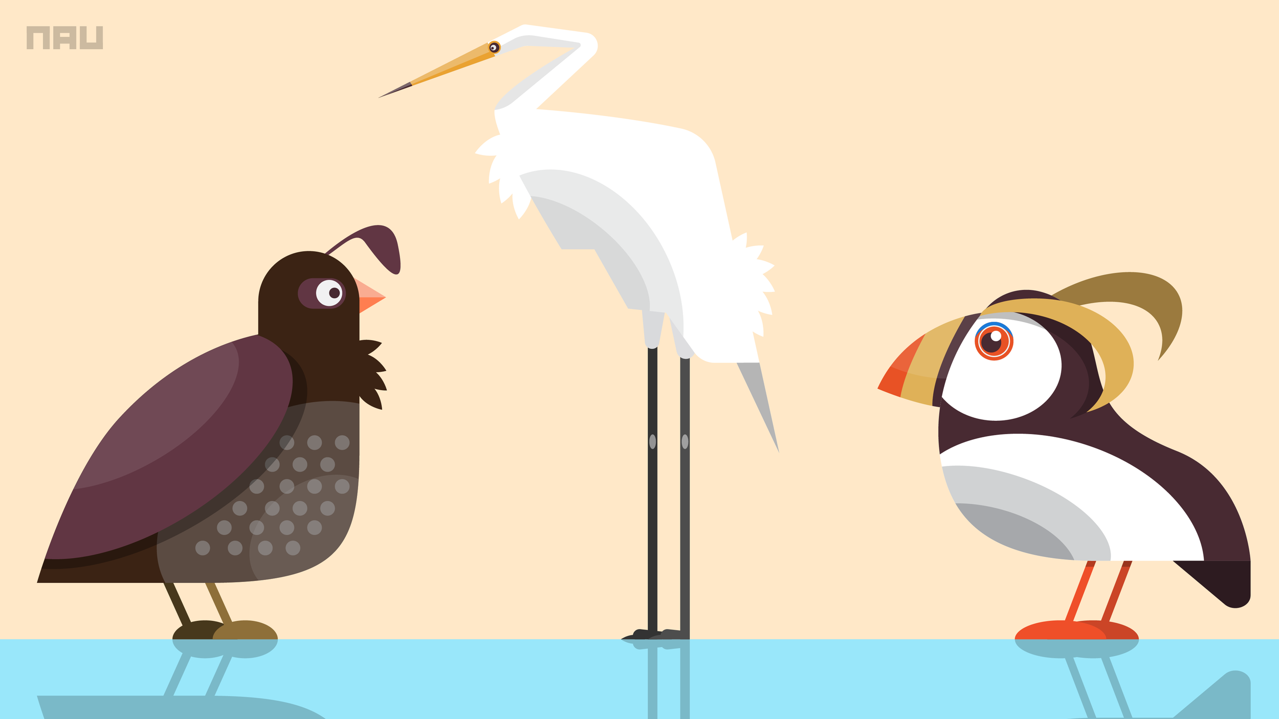 birds_2023@2x.png