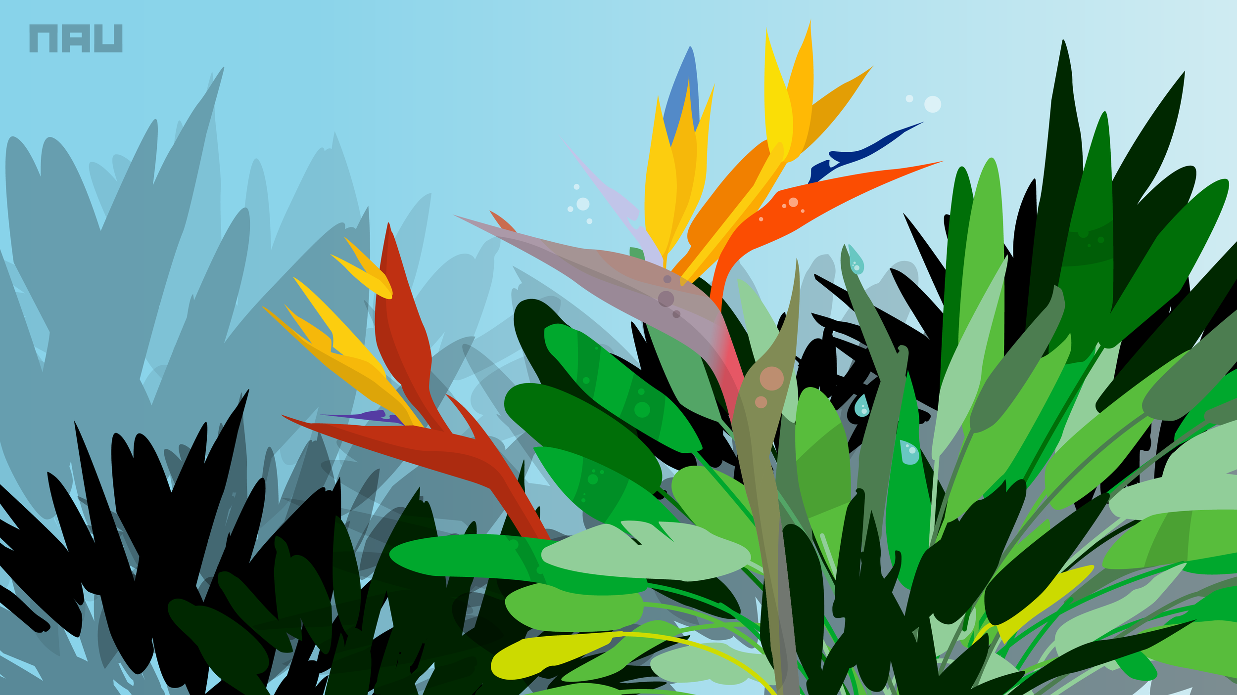 birds of paradise@2x.png