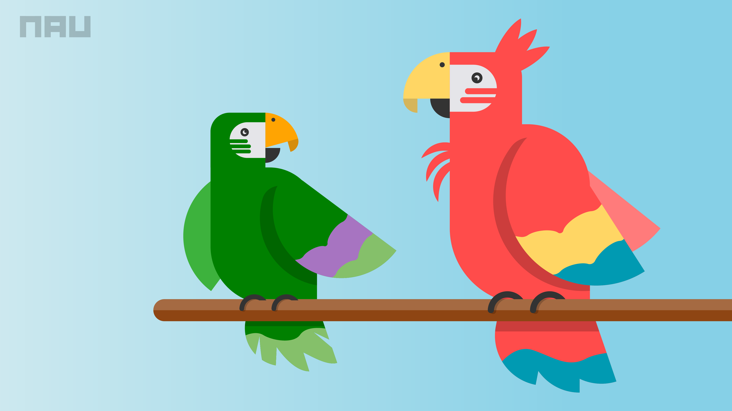 parrots@2x.png