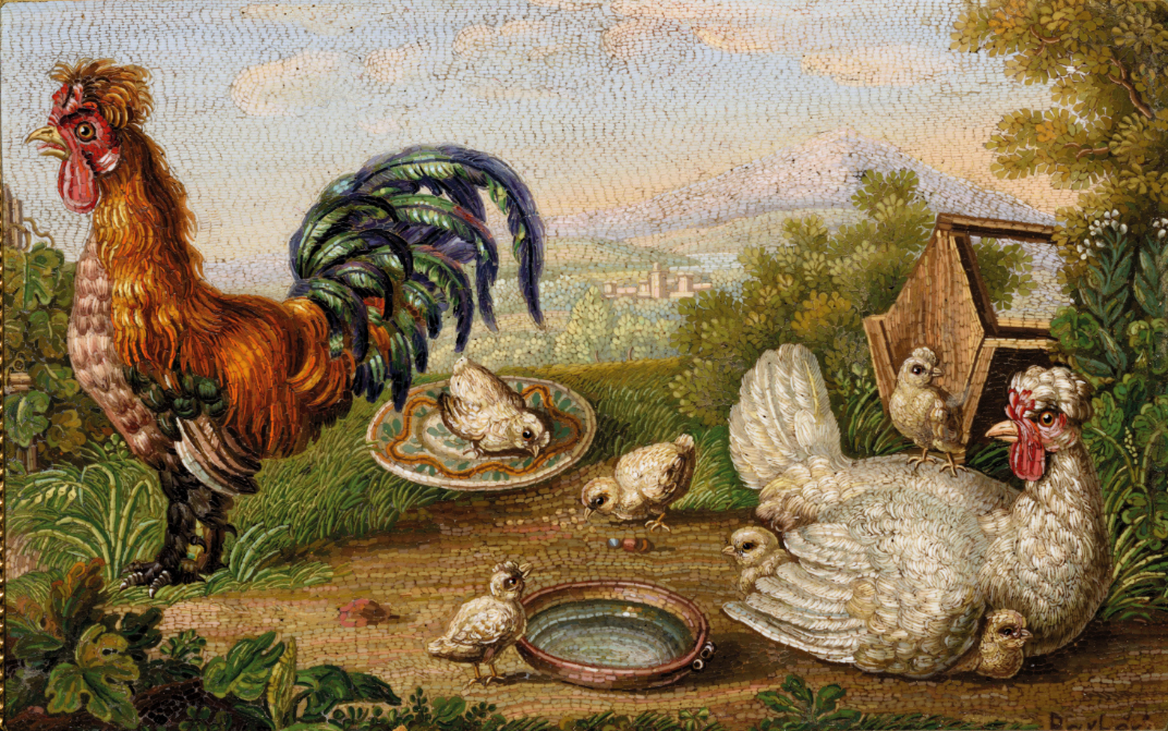 Barberi Chicken and hen.png