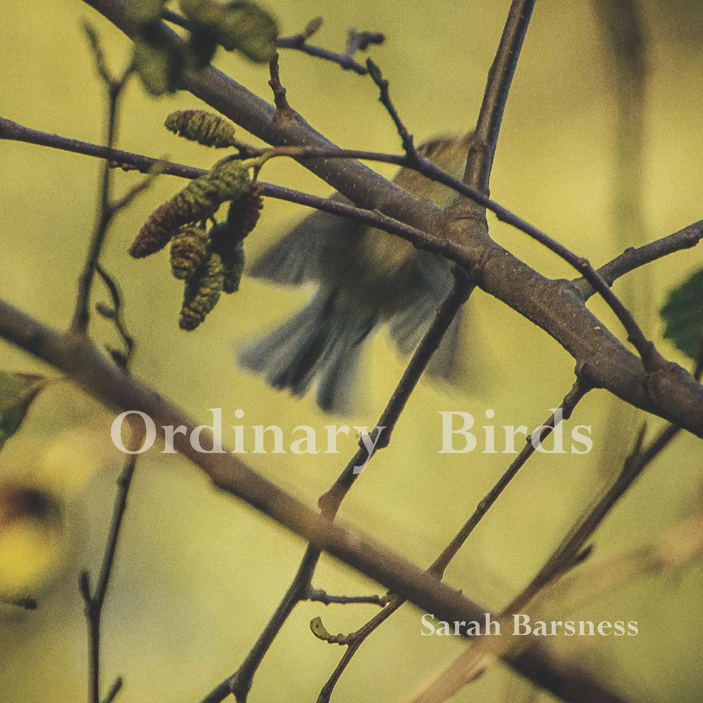 ordinarybirdcover.jpg