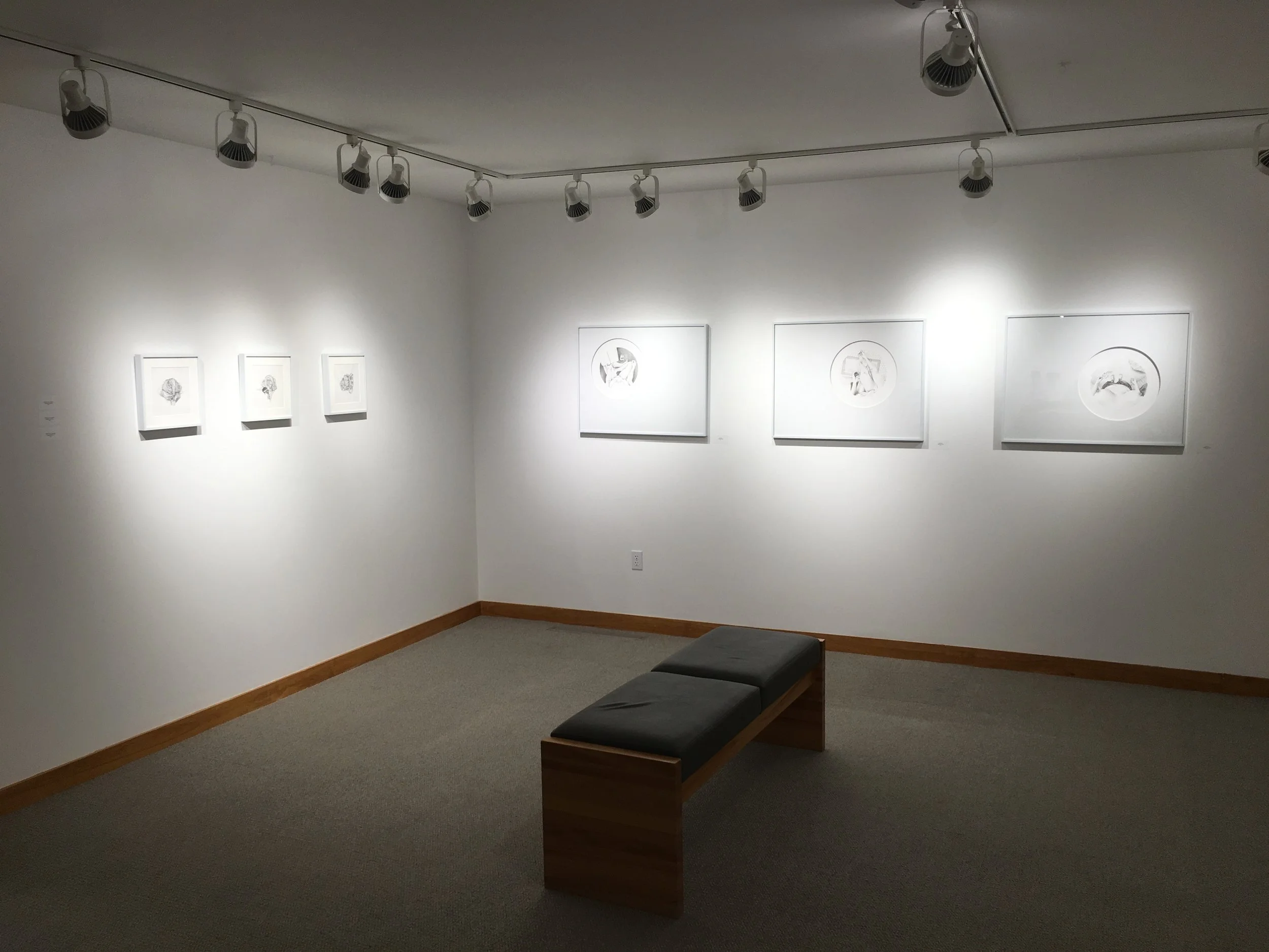 Installation at Pella College, Iowa