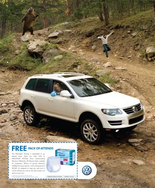 vw-tou-bear.jpg