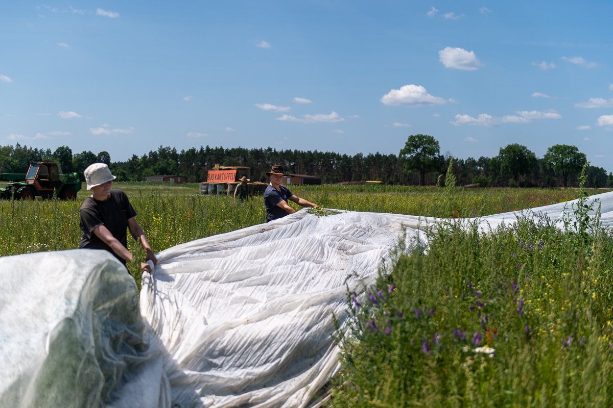 landwirt_klaas-3807.jpg