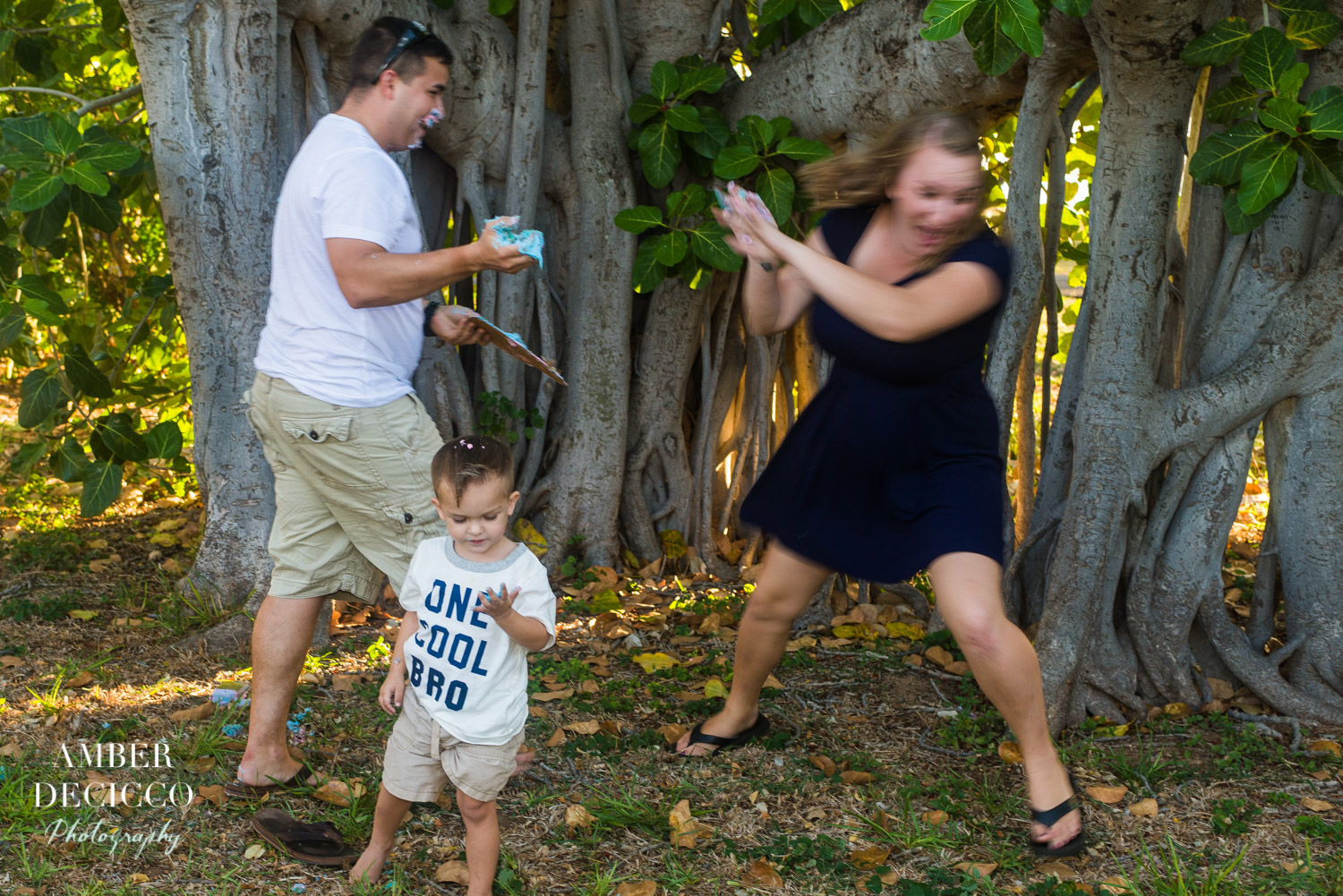 Cake Smash Gender Reveal