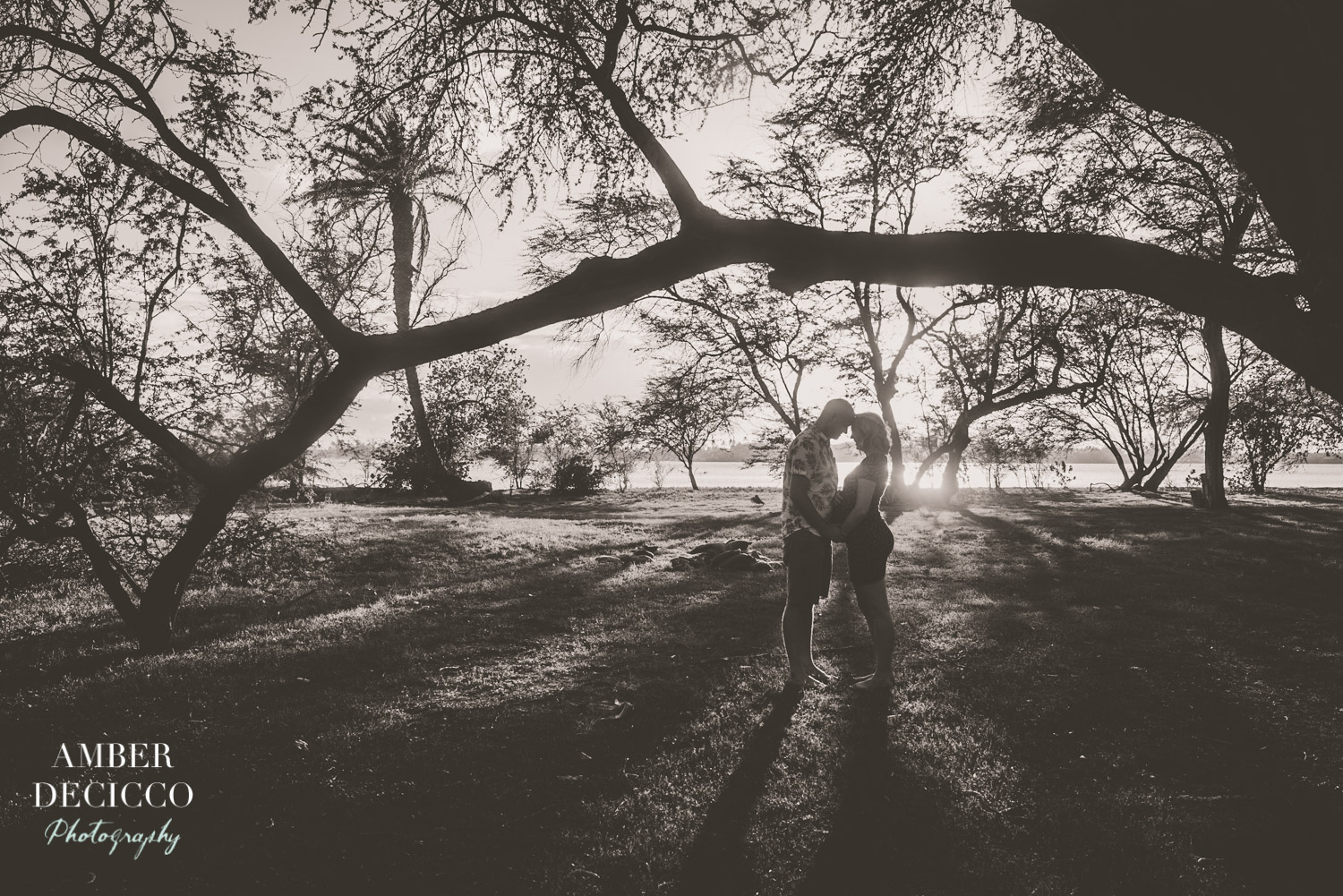 Standing Under a Tree