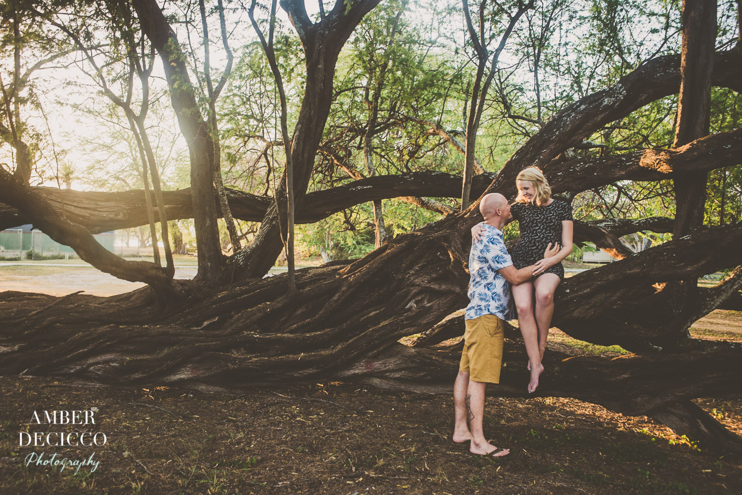 Artistic Image of the Parents in a Tree