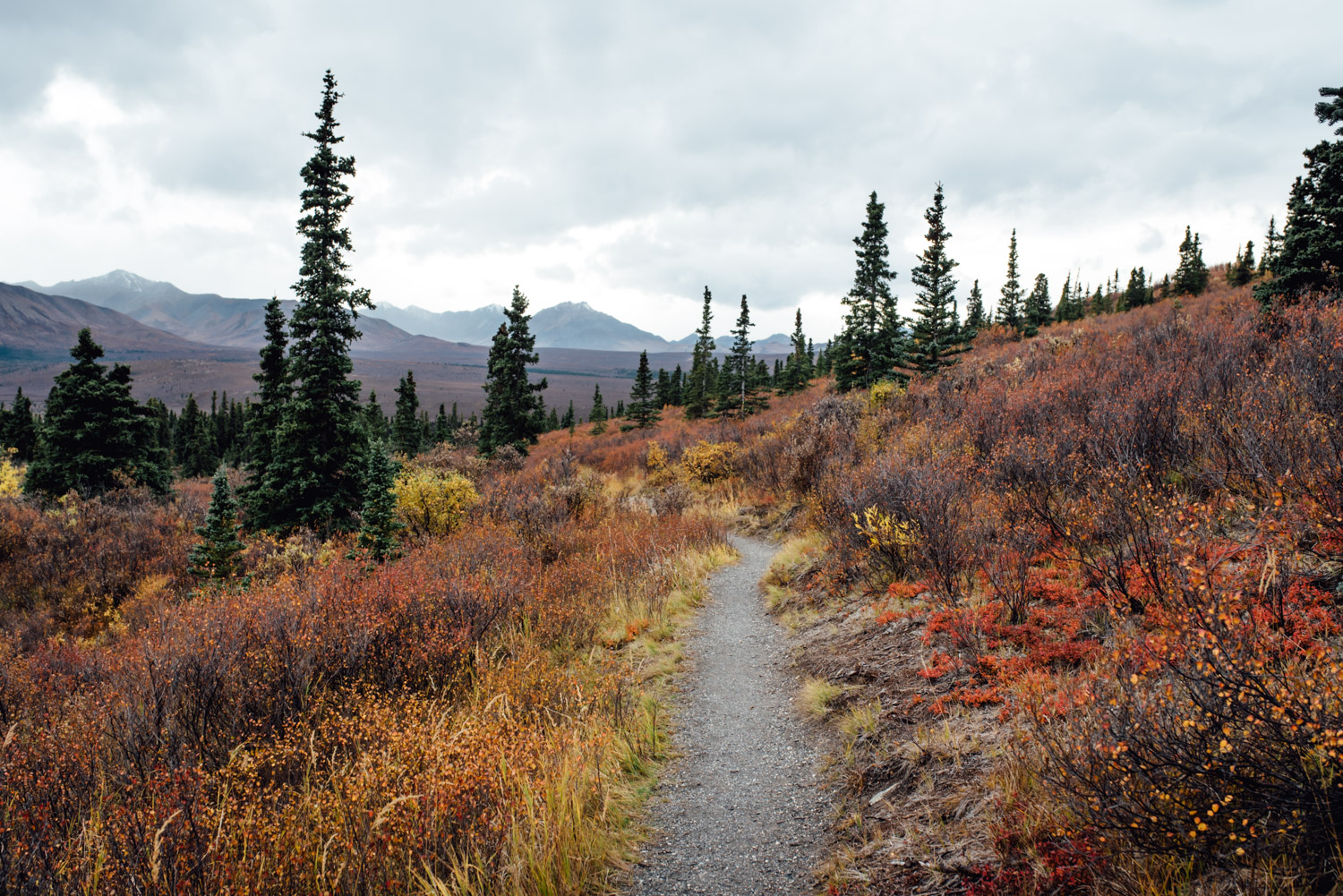 SUCH a beautiful scene from our recent trip to Alaska <3 I got my fall fix and now I'm happy to be back on the beautiful island of O'ahu!