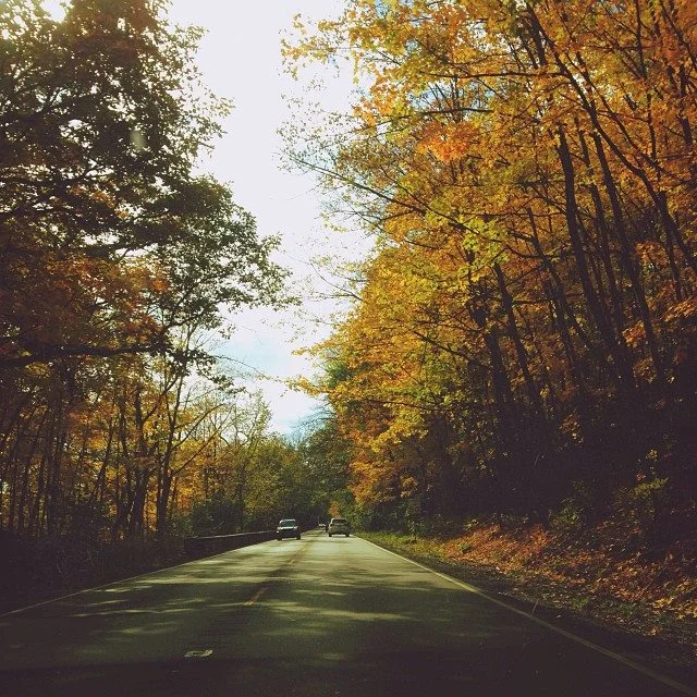 fallphoto