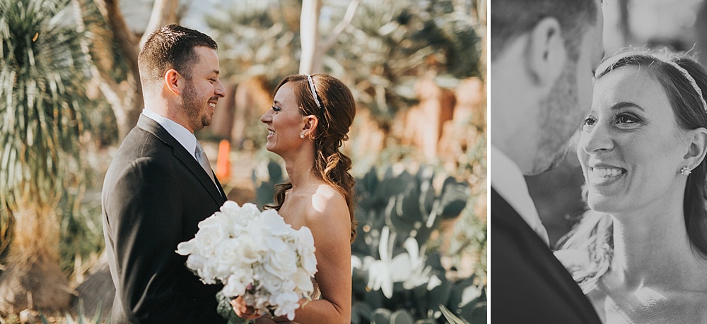Intercontinental Milwaukee Wedding - Milwaukee Winter Wedding - Liller Photo - Milwaukee Wedding Photographers - Mitchell Park Domes