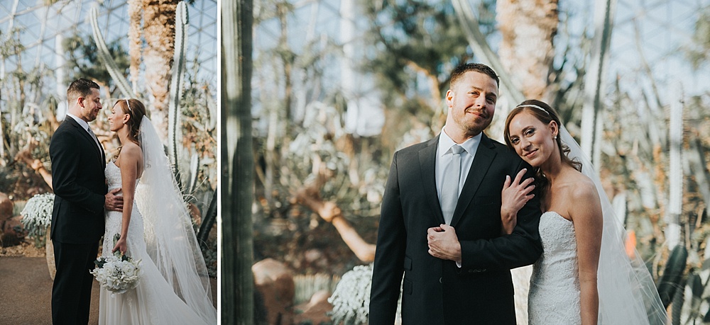 Intercontinental Milwaukee Wedding - Milwaukee Winter Wedding - Liller Photo - Milwaukee Wedding Photographers - Mitchell Park Domes