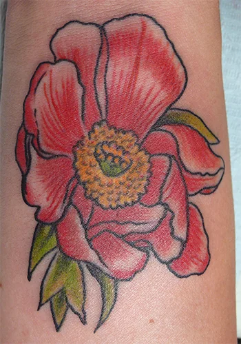 flower_JO_72dpi.jpg