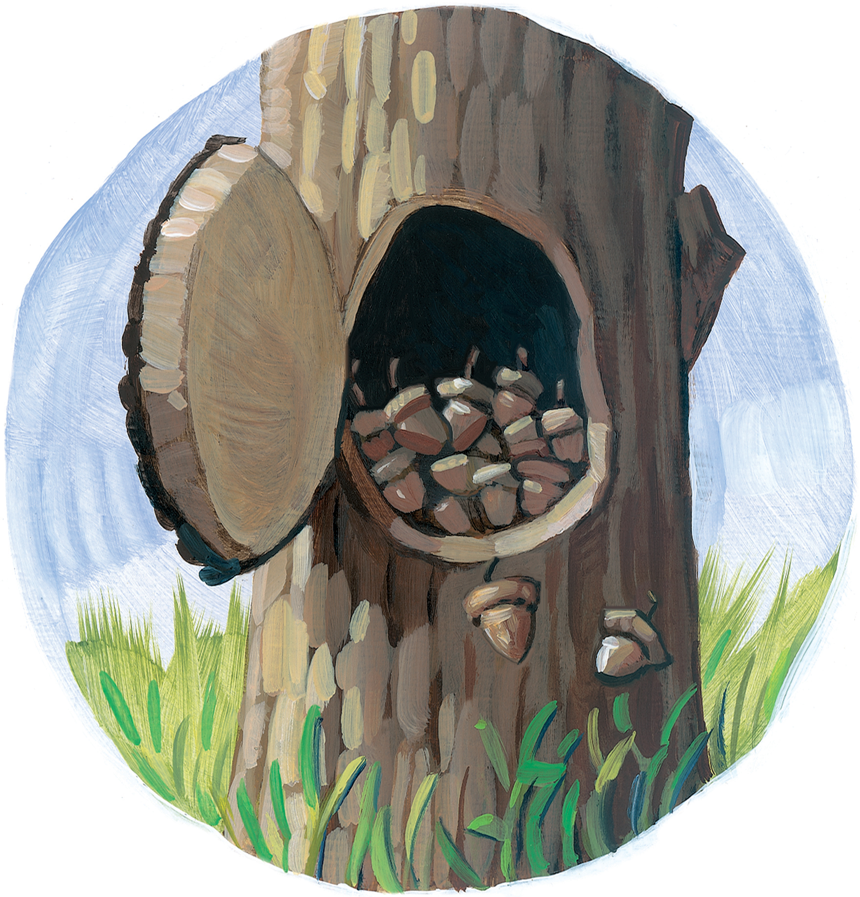 Nuts 8" wide. Oil on illustration board, 2012. $75. Buy this painting.