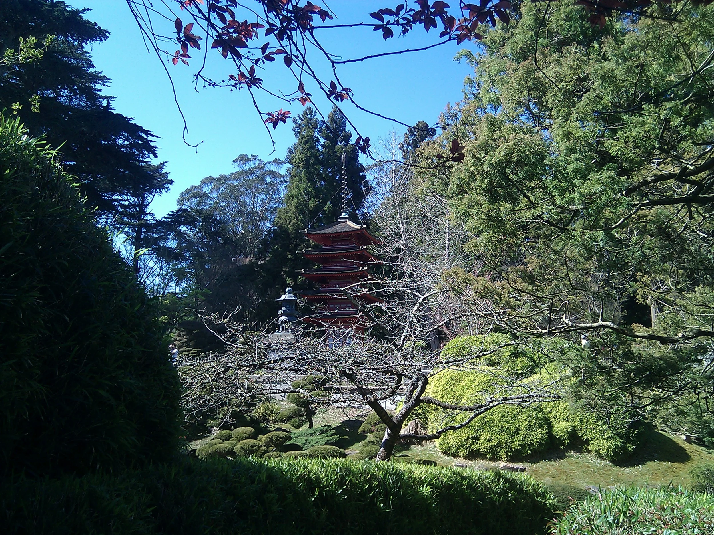 IMG_20120304_122331.jpg