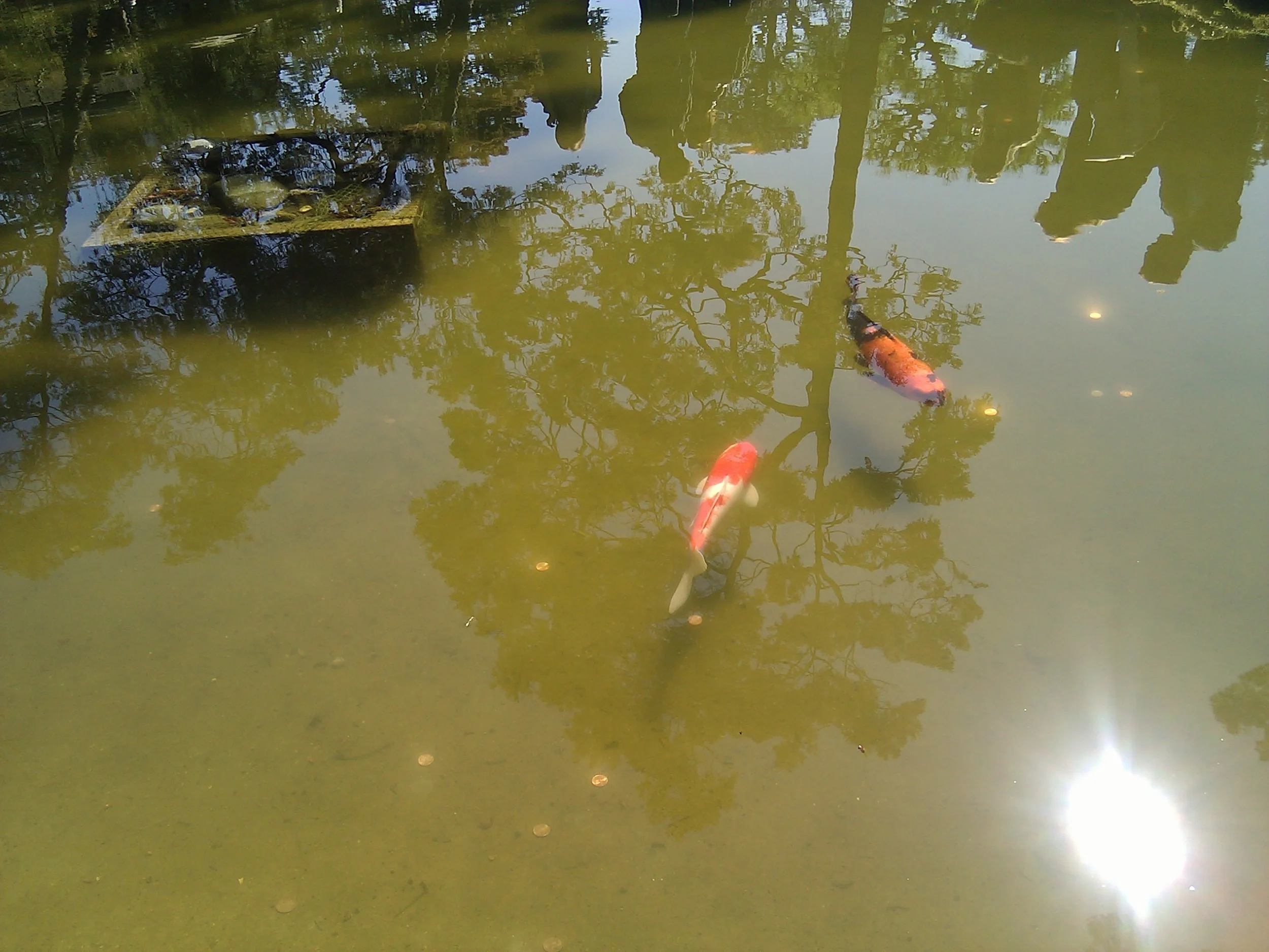 IMG_20120304_123000.jpg
