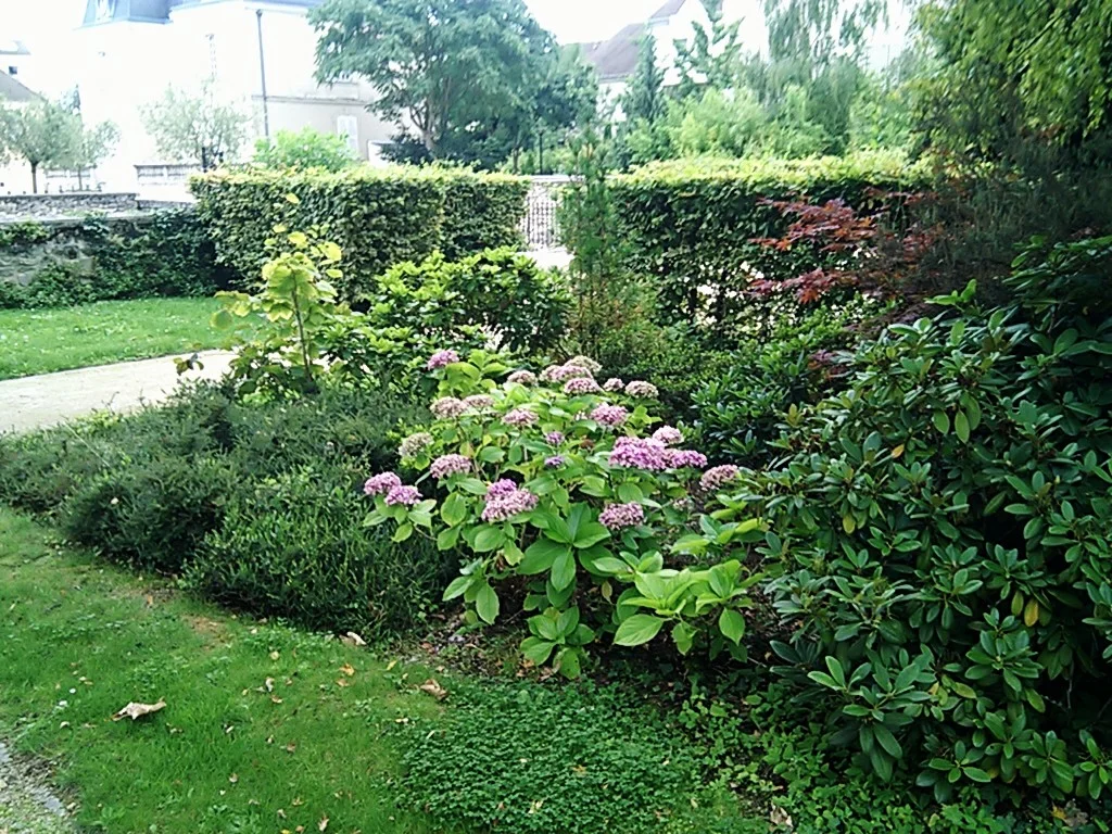 C360_2011-08-18%252013-29-00.jpg