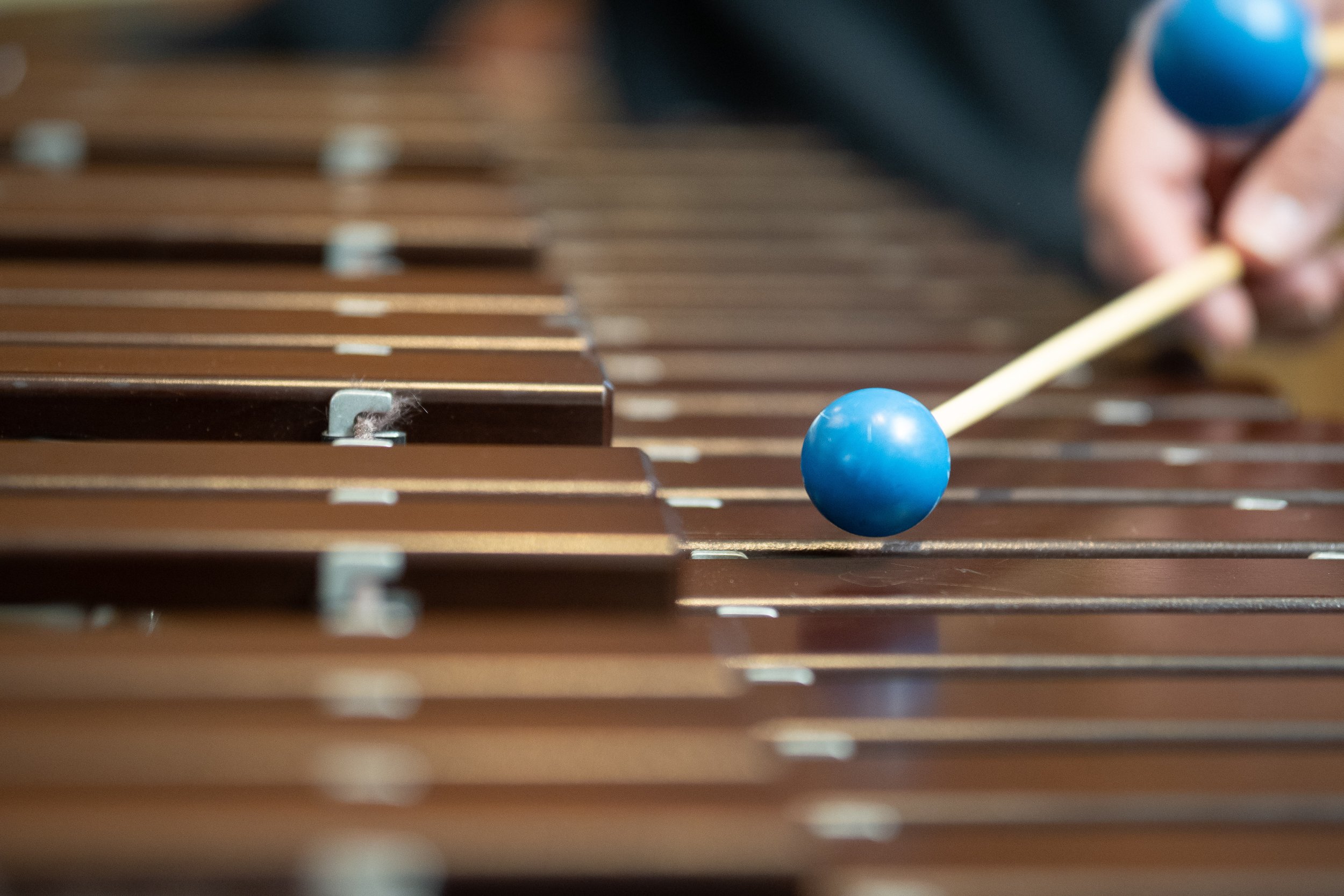 Xylophone from Seattle Festival Orchestra