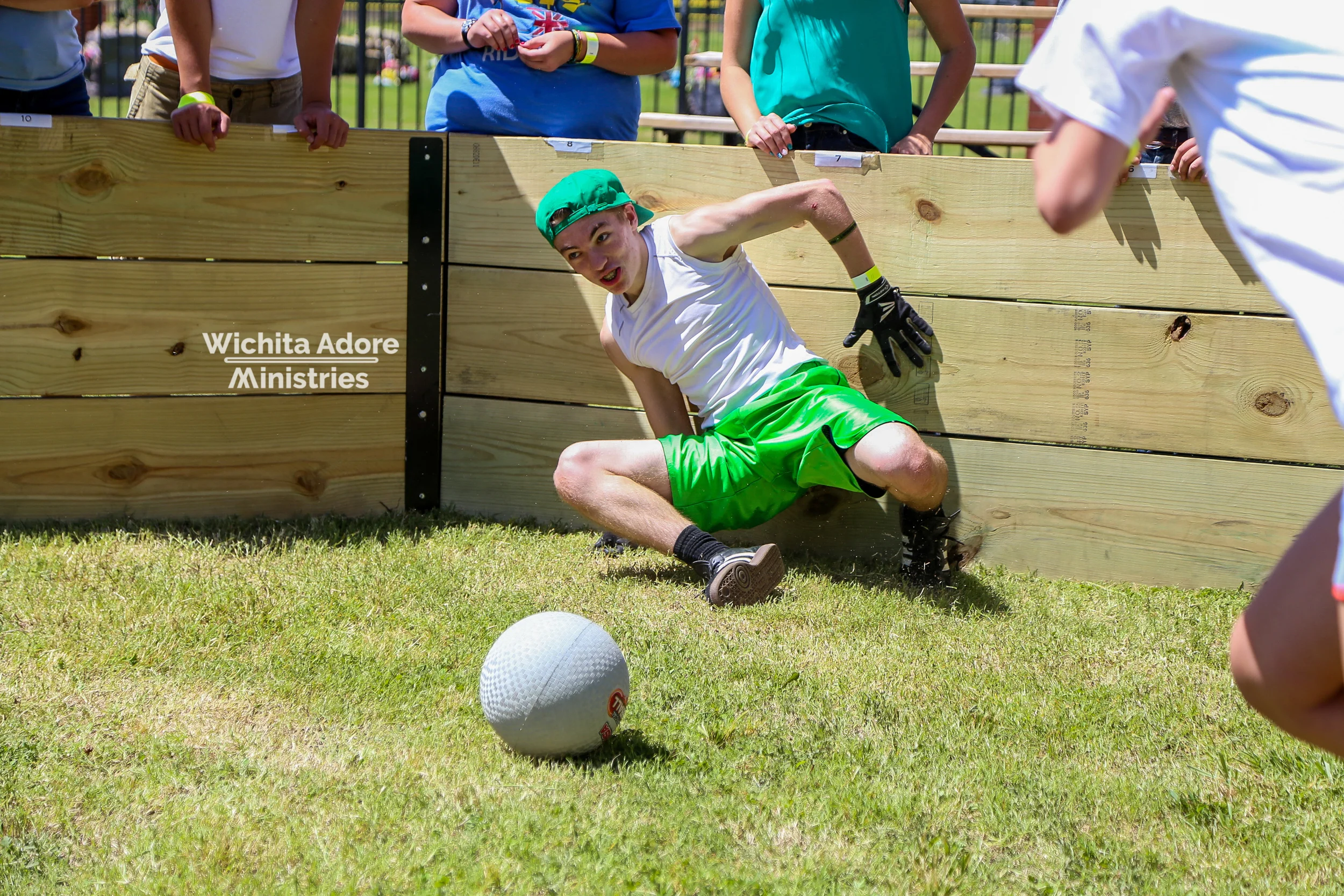 IMG_2466.jpg