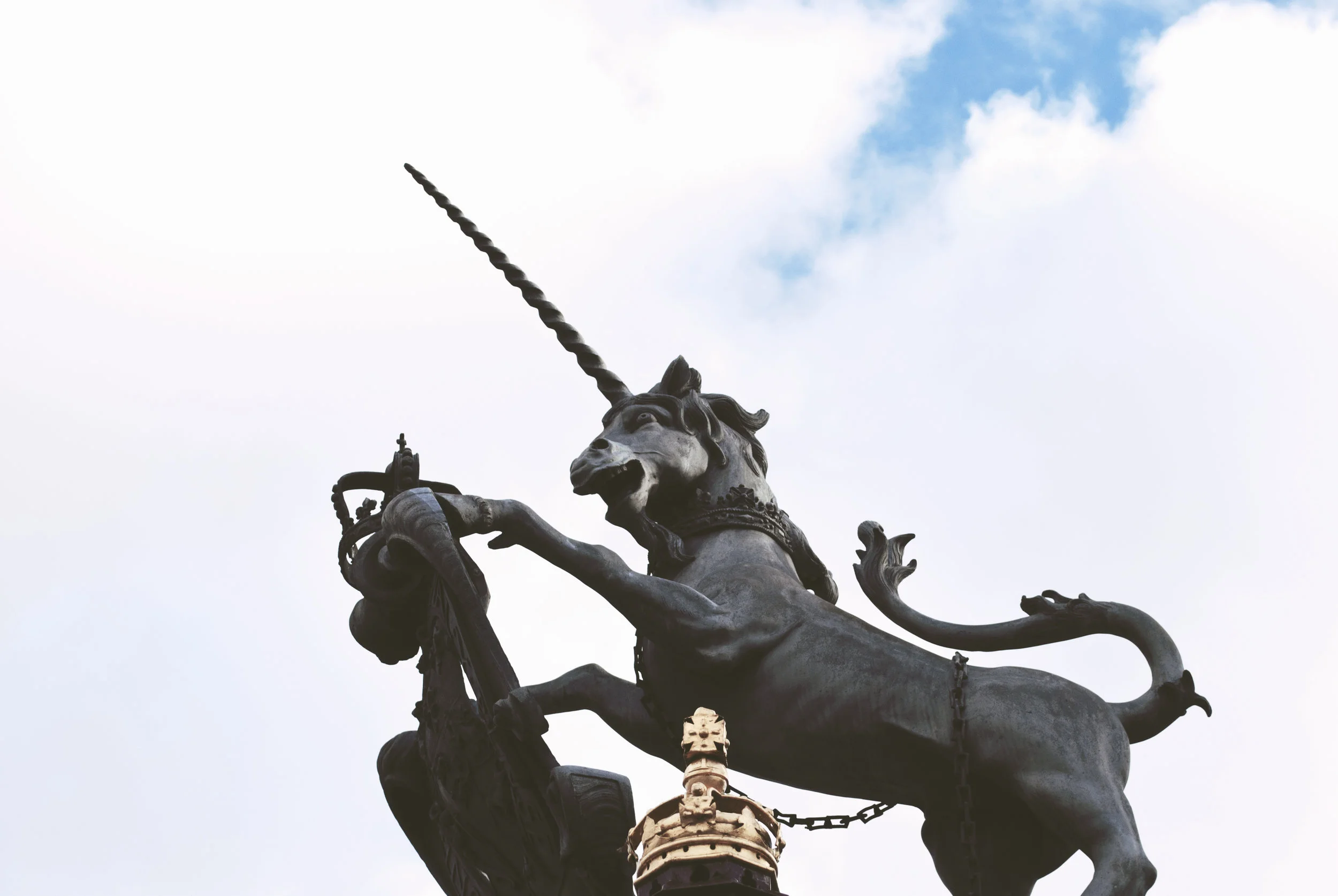 unicorn2.jpg
