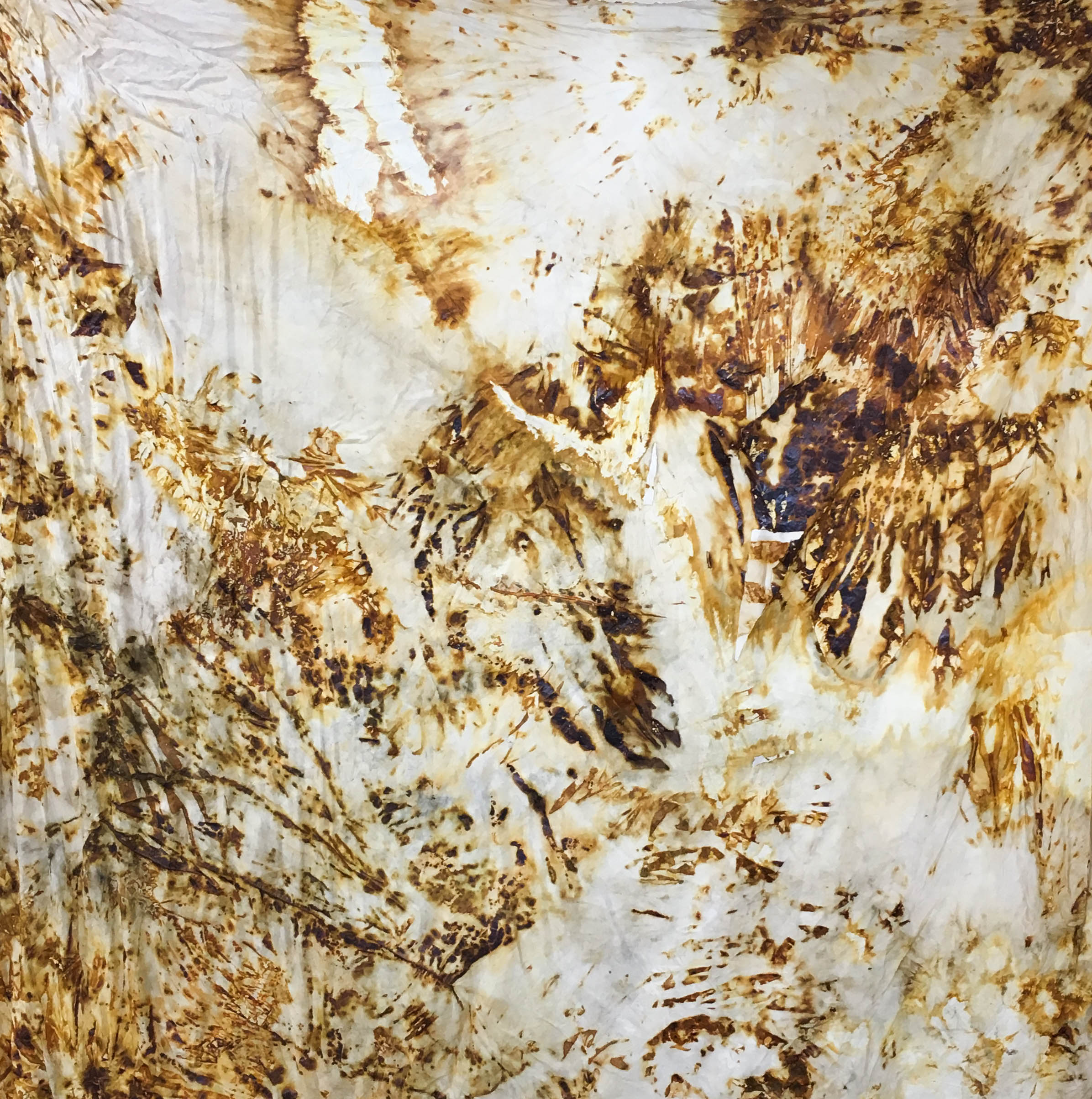   This No Longer Exists,  2015  Rust on silk 