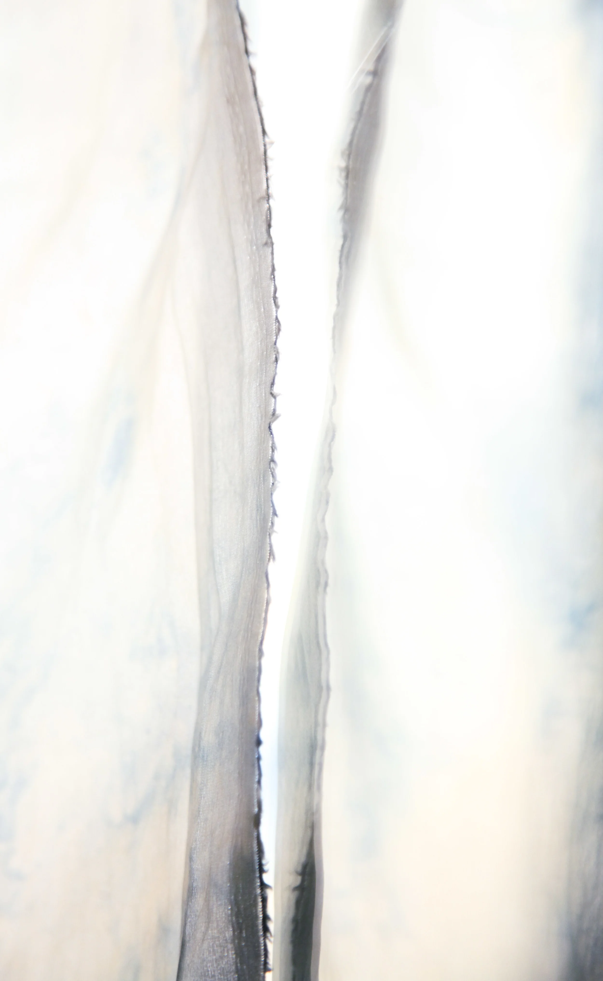 We Are Never Our Degraded Selves V , 2016 Digital photograph on pearl paper