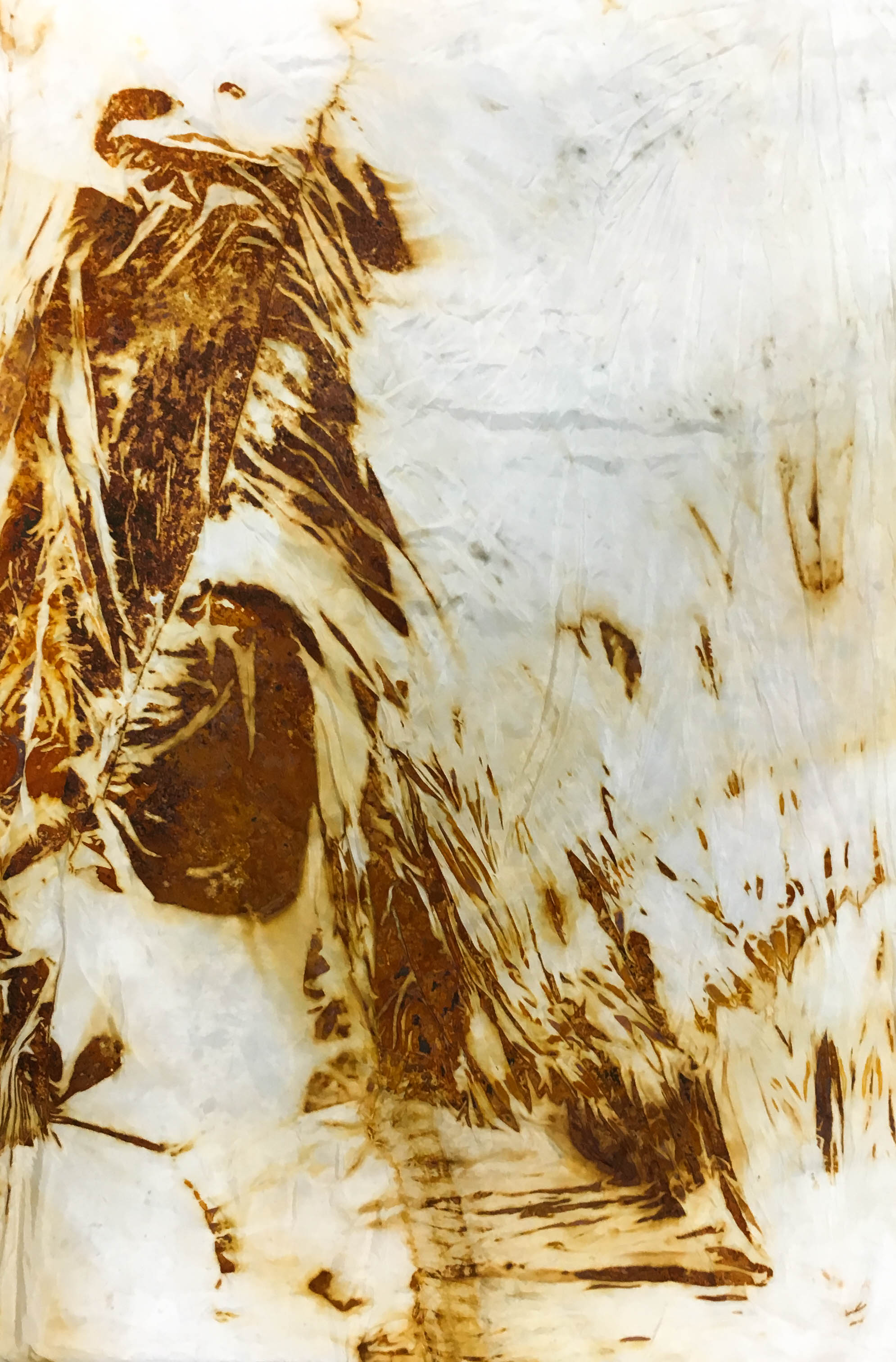   This No Longer Exists IV,  2015  Rust on silk 