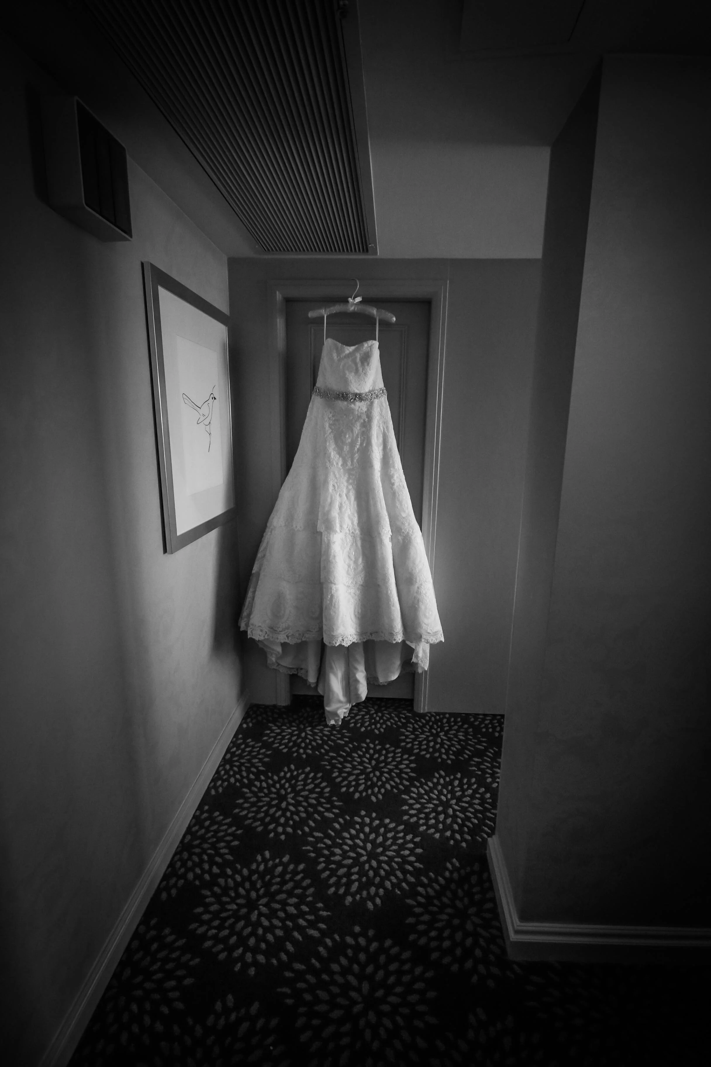 IMG_0942.jpg