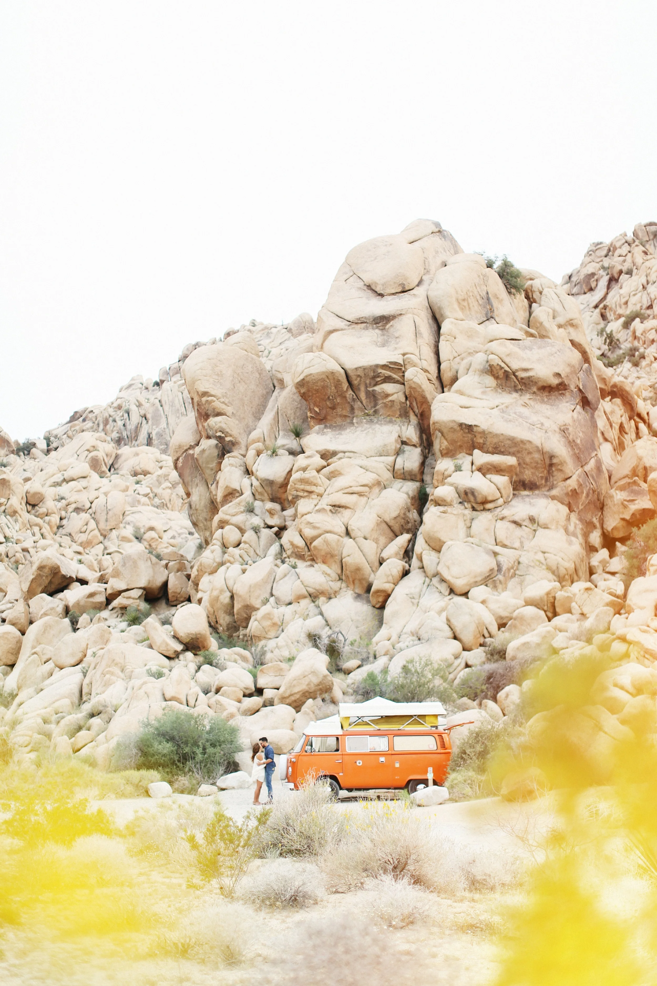 2F1A7961 copy copy.JPG