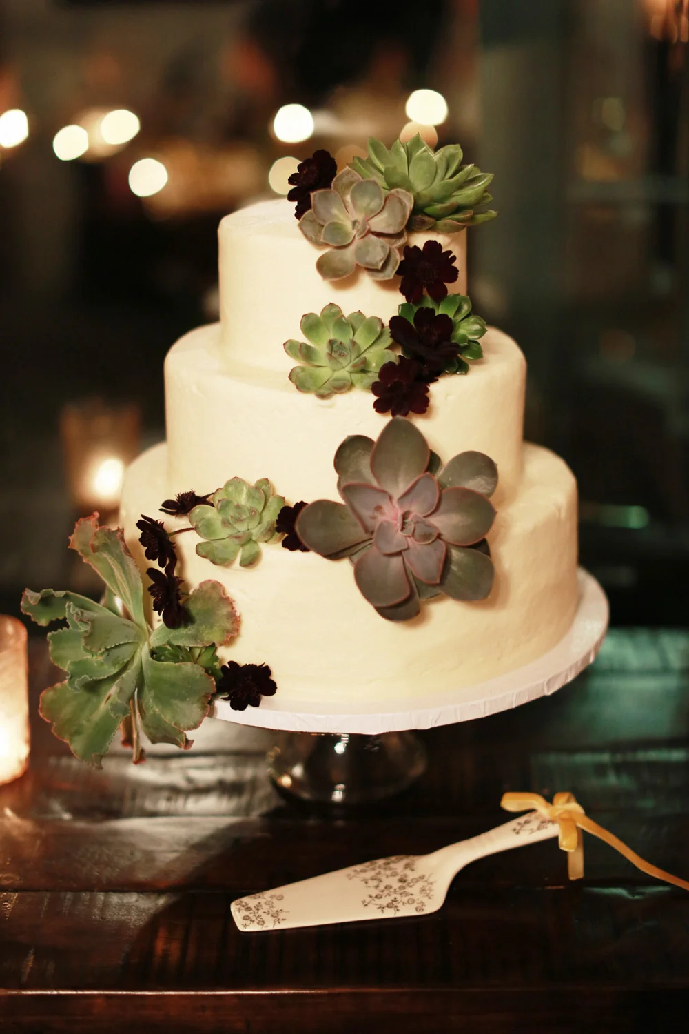 Tomasina & James 120.jpg
