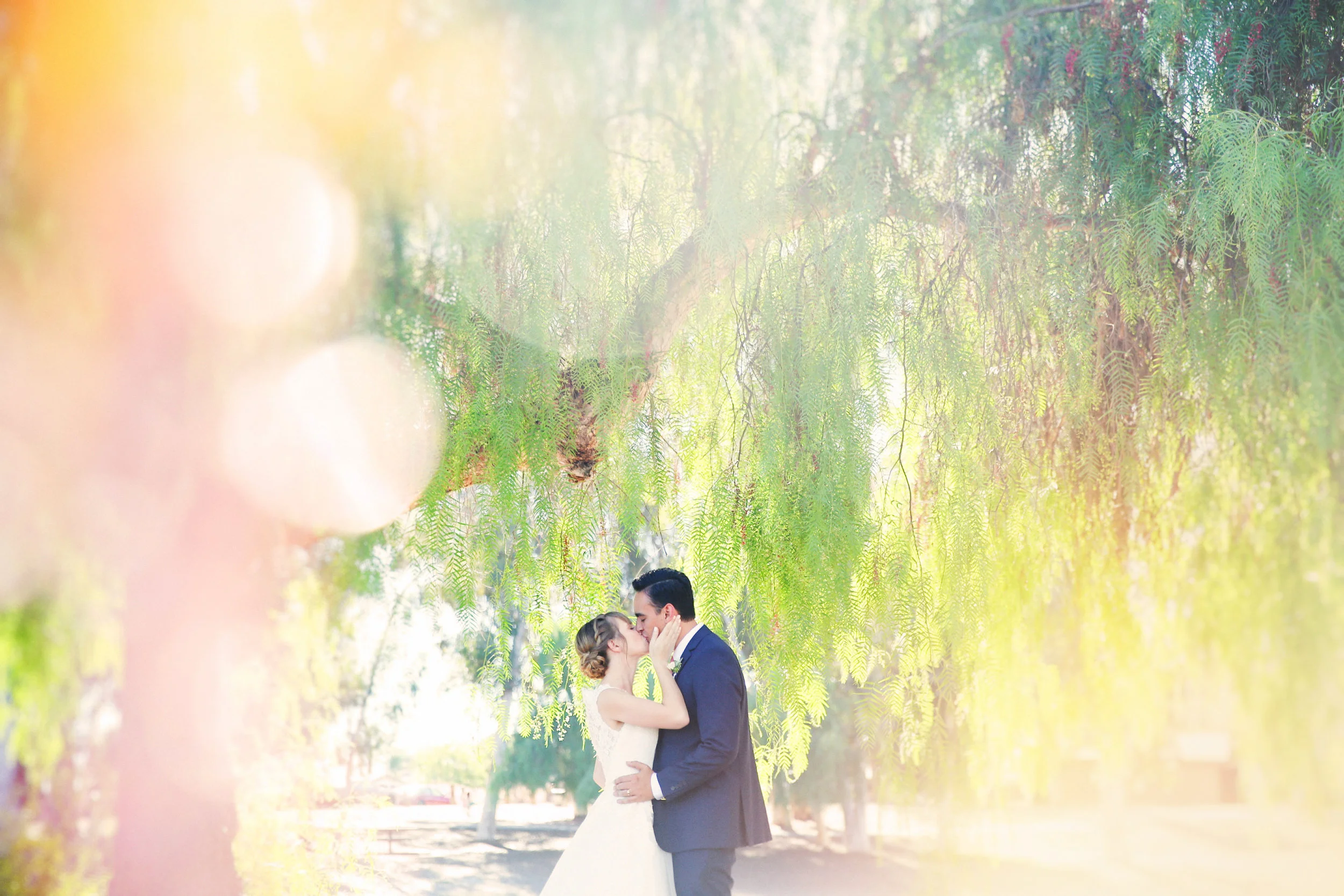 Steph & Alfred 220.jpg