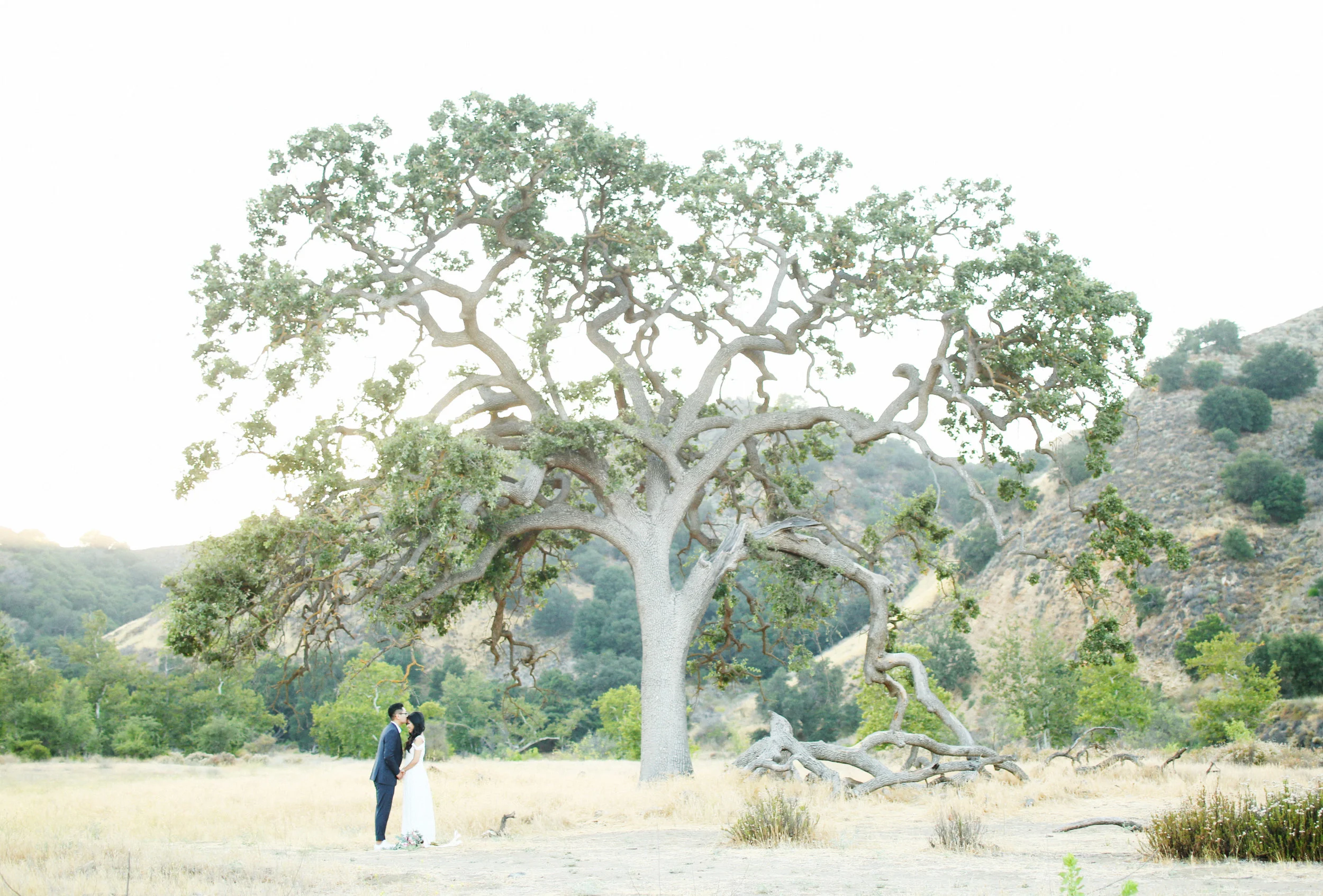 Jina & Joe 116.jpg