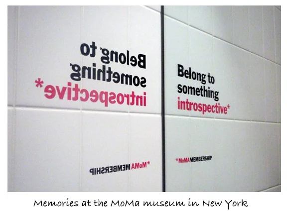 MoMa AnaLu.co.jpg