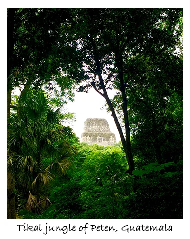 Tikal Jungle AnaLu.co.jpg