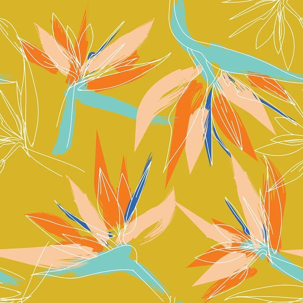 Bird of Paradise sketchy tropical Ana Tucci Designs.JPG