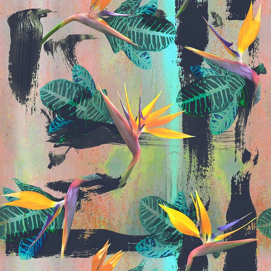 Havana Nights Ana Tucci Designs.JPG