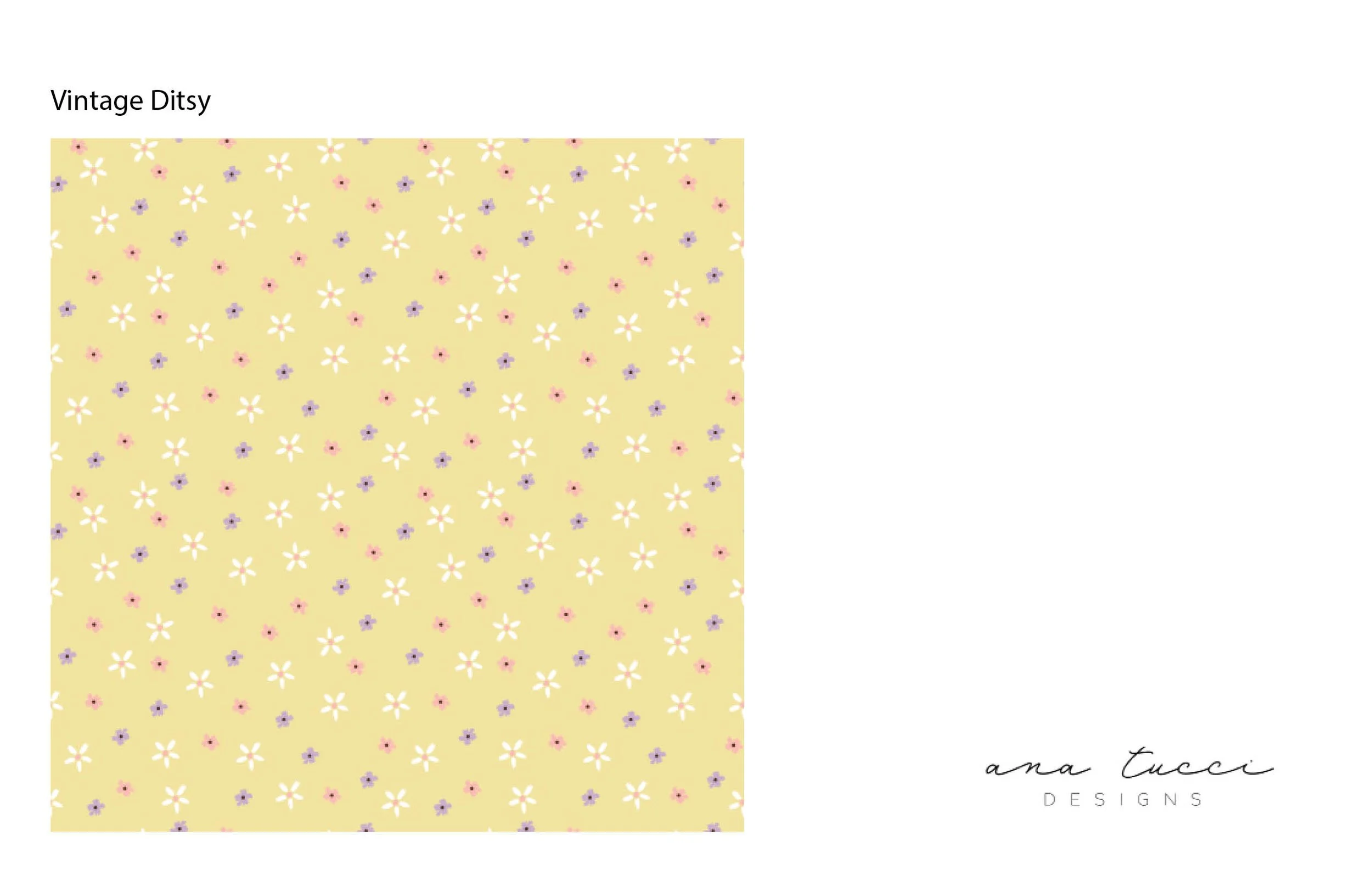Summer 2026 Prints by Ana Tucci5.jpg