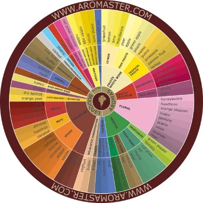 An aroma wheel provided by www.aromamaster.com