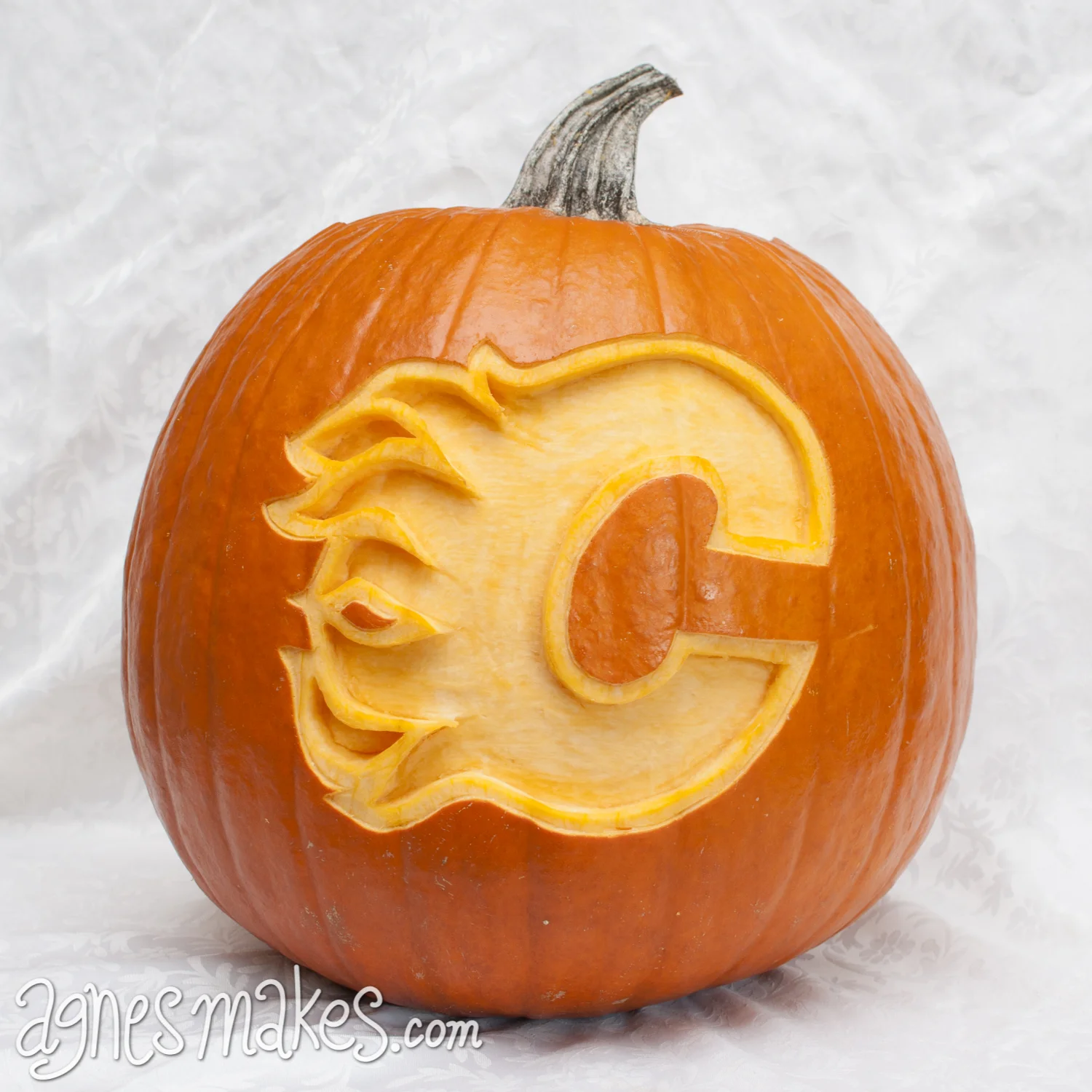 TSN Pumpkins 2013-1.jpg