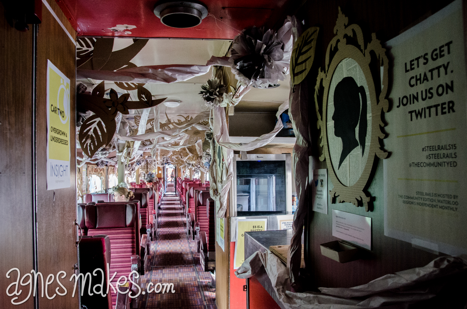 Steel Rails 2015-3.jpg