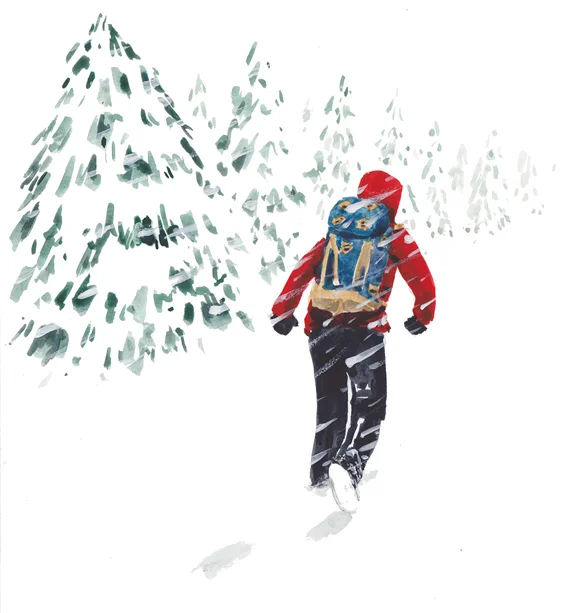 Tom Bihn Holiday Card