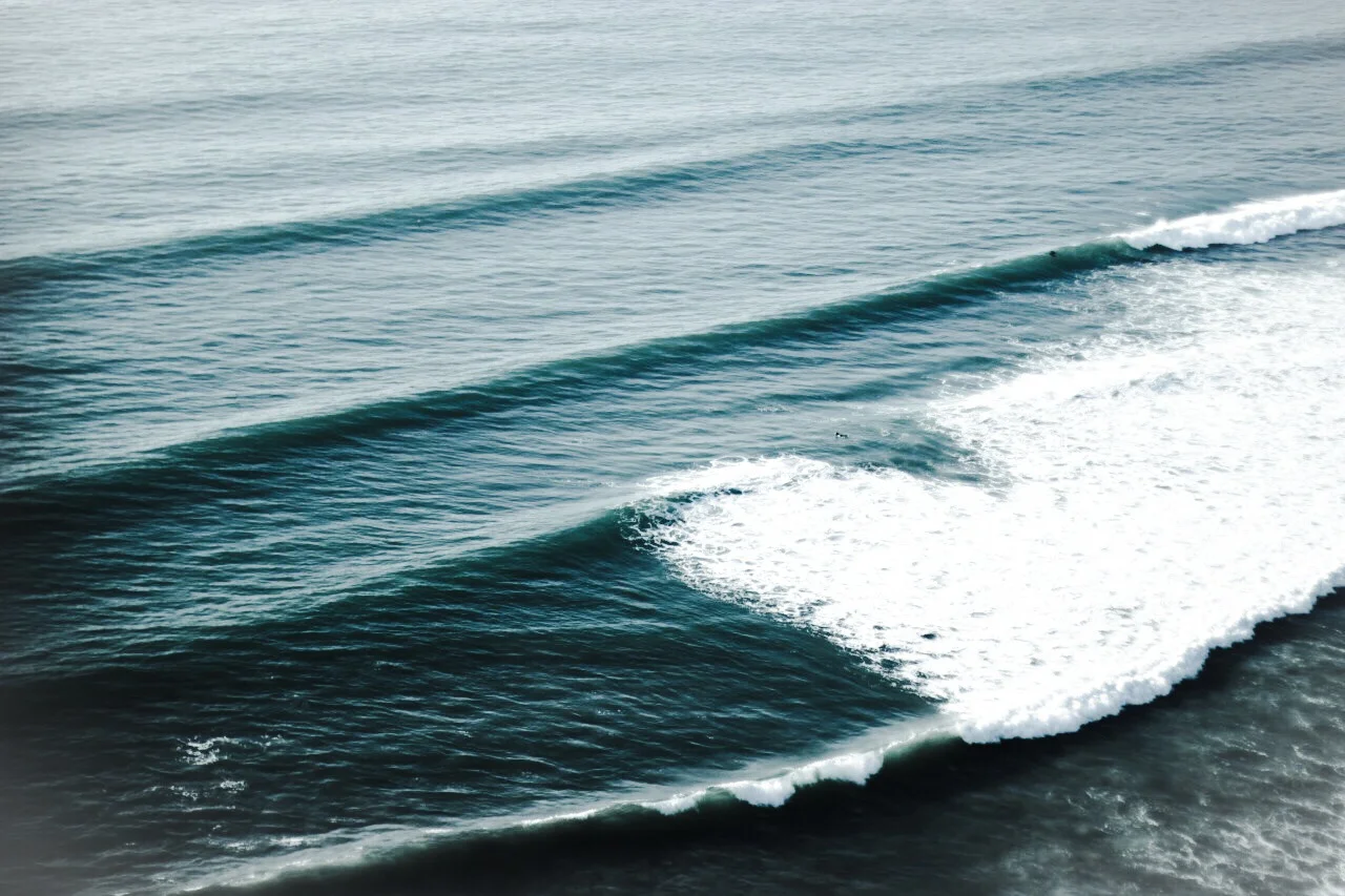 We are tied to the ocean 