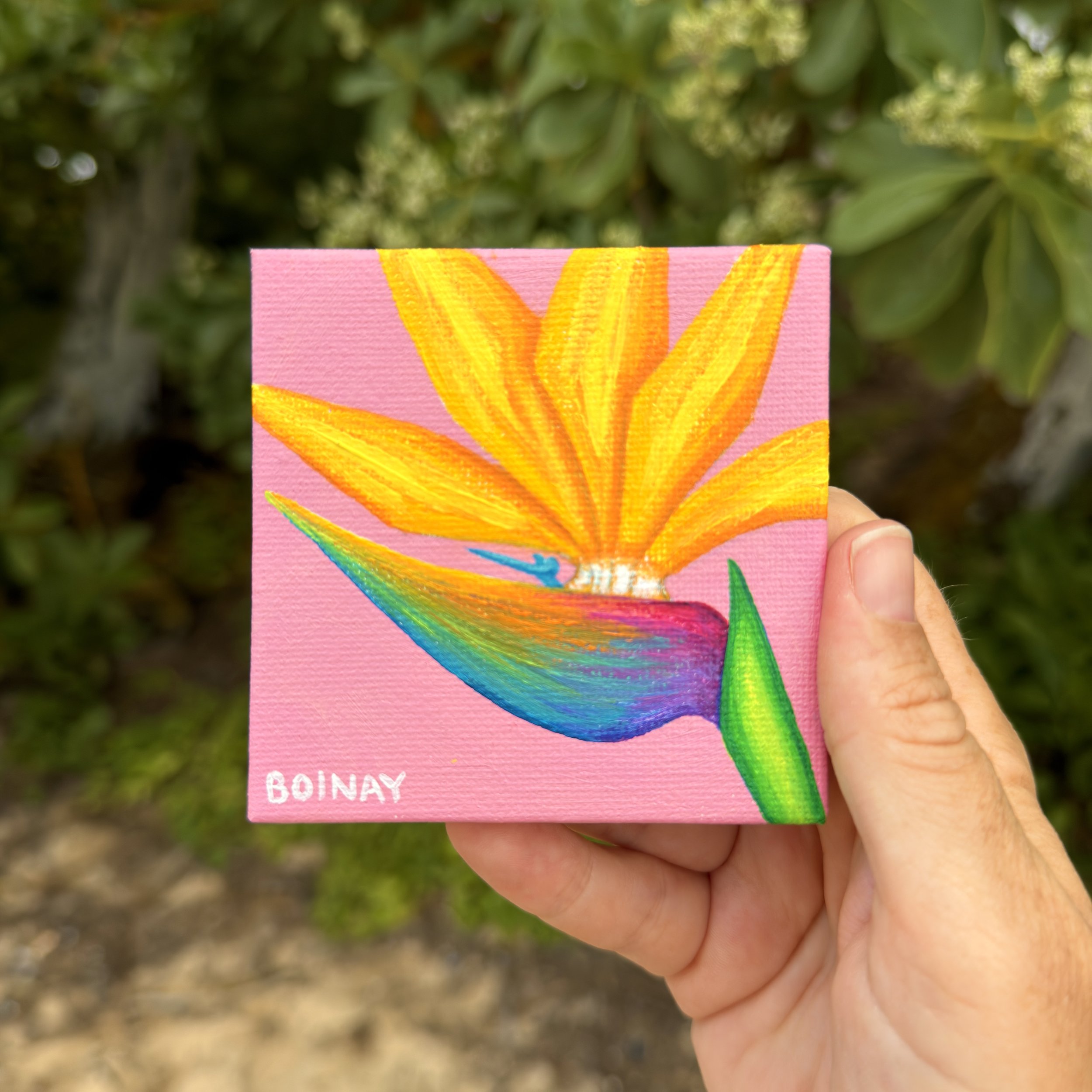 New! Mini Canvas: Pink + Bird of Paradise