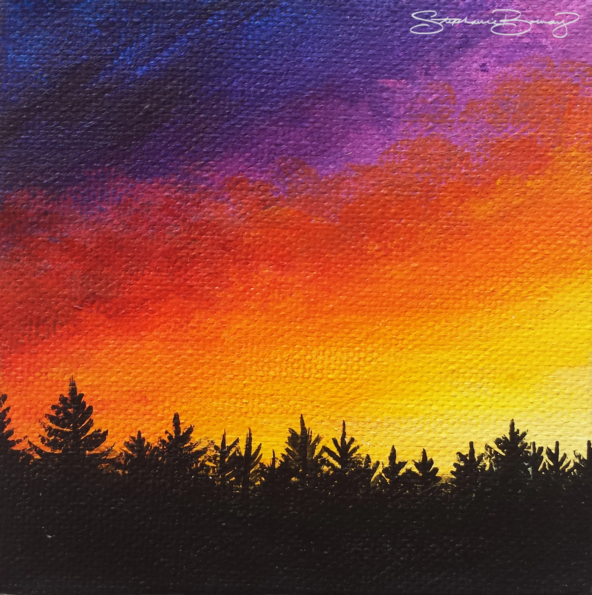 LINNEA SUNSET