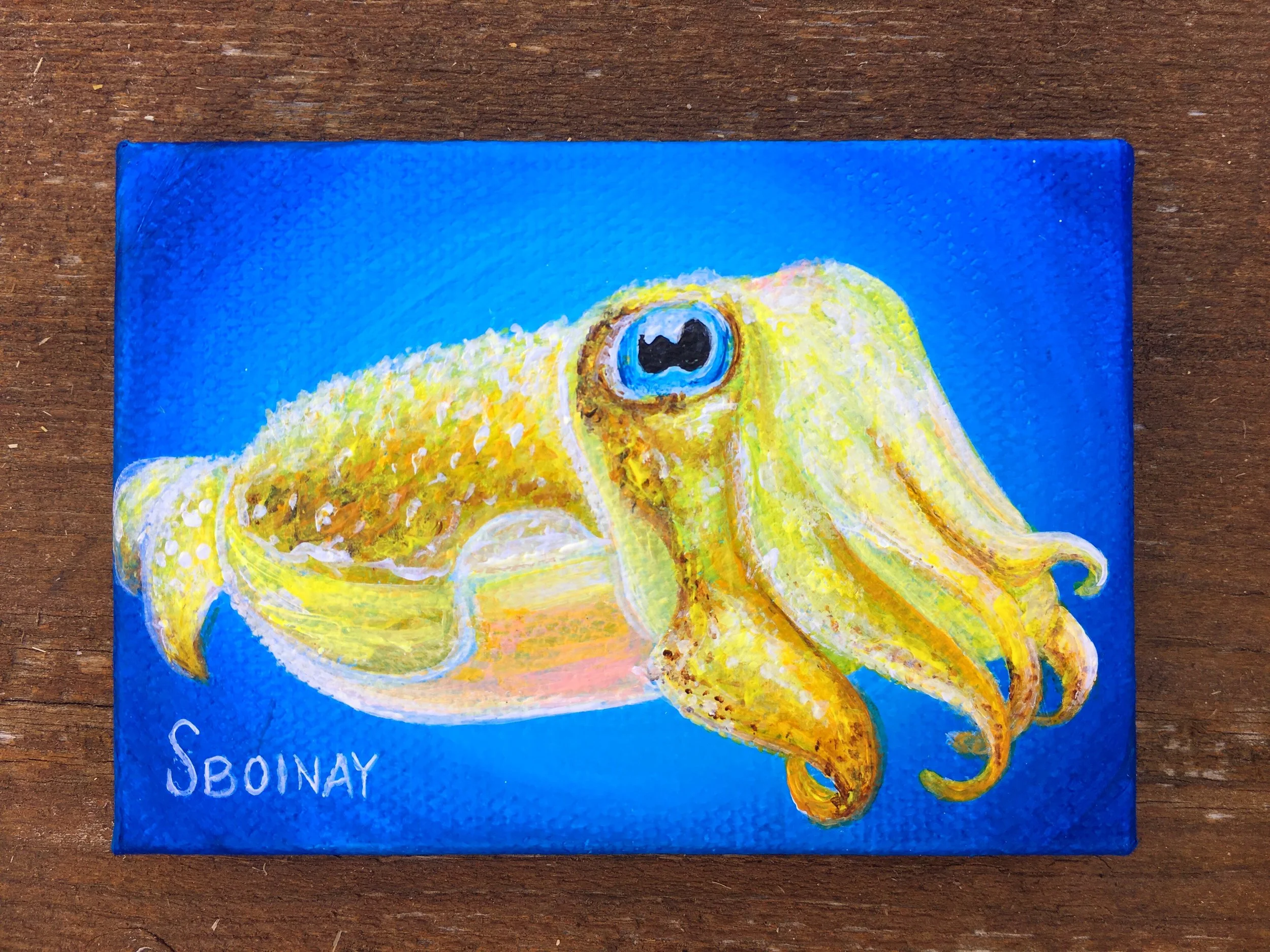 Micro Mini: Cute Cuttlefish!
